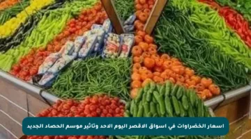 أسعار الخضراوات في أسواق الأقصر اليوم الأحد وتأثير موسم الحصاد الجديد